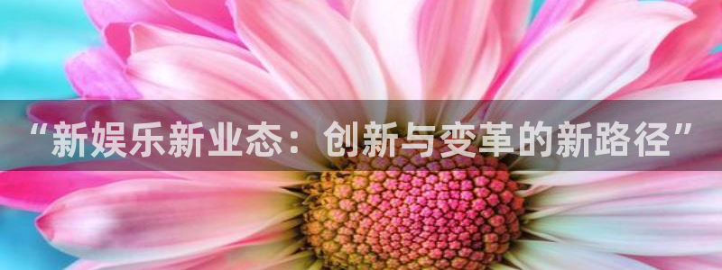 今年会：“新娱乐新业态：创新与变革的新路径”