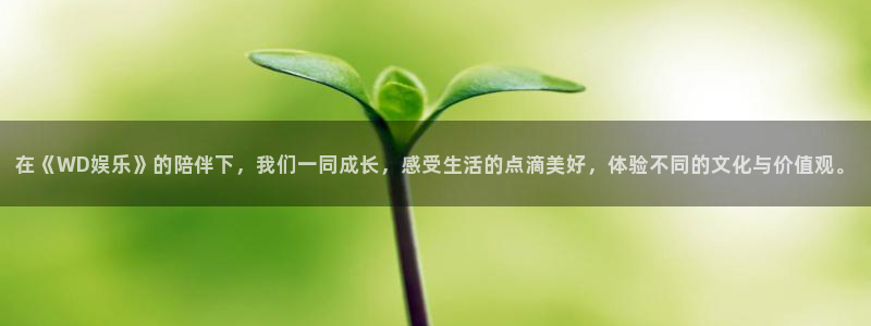 今年会首页：在《WD娱乐》的陪伴下，我们一同成长，感受生活的点滴美好，体验不同的文化与价值观。