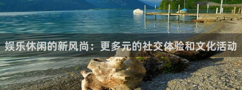 今年会体育：娱乐休闲的新风尚：更多元的社交体验和文化活动