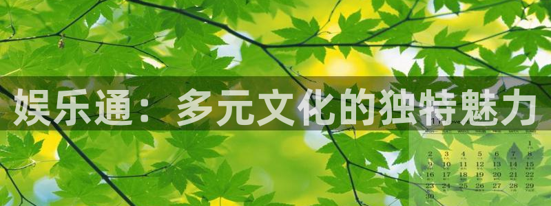 今年会官网登录入口：娱乐通：多元文化的独特魅力