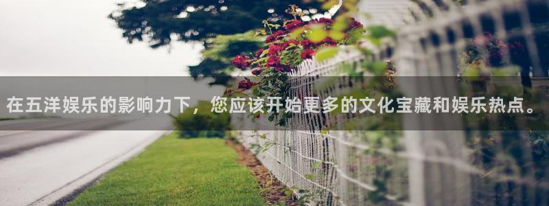 今年会首页：在五洋娱乐的影响力下，您应该开始更多的文化宝藏和娱乐热点。