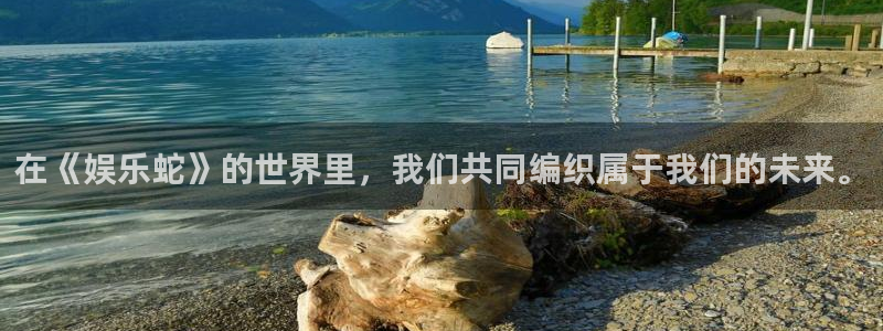 今年会首页：在《娱乐蛇》的世界里，我们共同编织属于我们的未来。