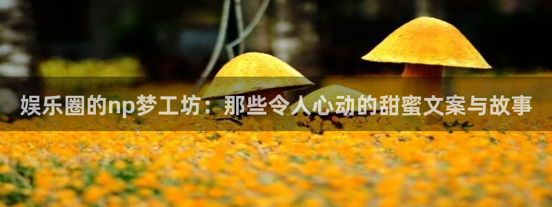 今年会首页：娱乐圈的np梦工坊：那些令人心动的甜蜜文案与故事