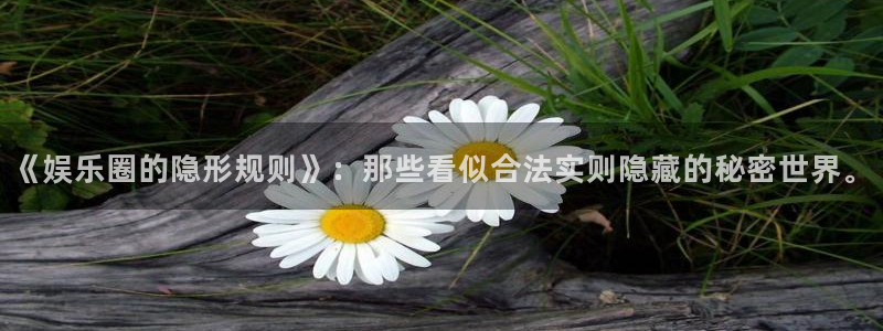 今年会体育：《娱乐圈的隐形规则》：那些看似合法实则隐藏的秘密世界。
