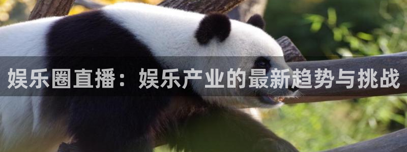 今年会官网登录入口：娱乐圈直播：娱乐产业的最新趋势与挑战