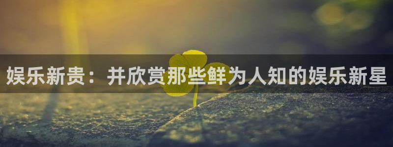今年会：娱乐新贵：并欣赏那些鲜为人知的娱乐新星
